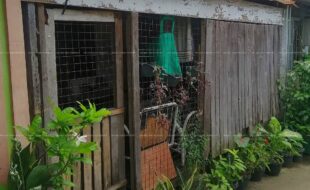 fil1520211209028