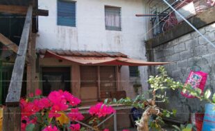fil1520220117384