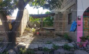 fil1520220125352