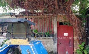 fil1520220129357
