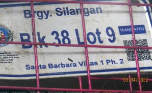 fil1520220310318