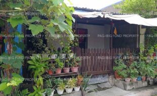 fil1520220722396