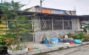 fil1520220722405