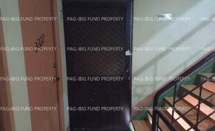 fil1520220805267