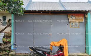 fil1520220812111