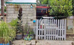 fil1520221005054