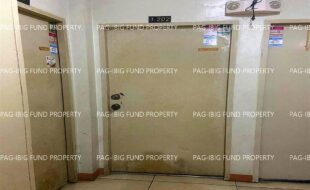 fil1520221005219