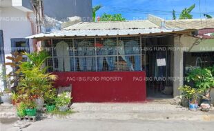fil1520221018618