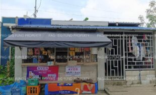 fil1520221028275