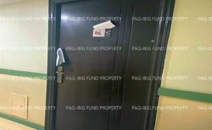 fil1520221110072