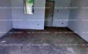 fil1520221206106