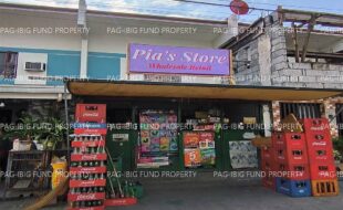 fil1520230208445