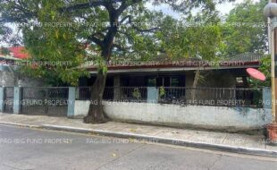 fil1520230210005