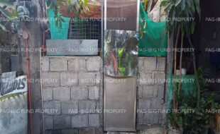 fil1520230310018