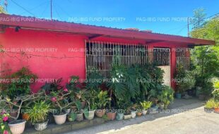 fil1520230503577