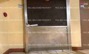 fil1520230602011