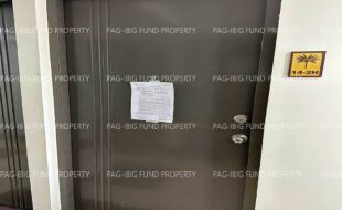 fil1520230807008