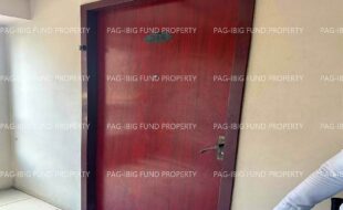 fil1520230814109