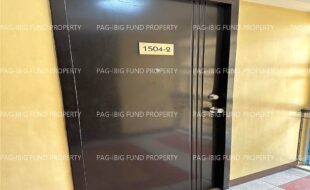 fil1520230822080