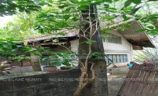 fil1520230906224