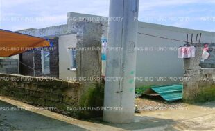 fil1520230908158