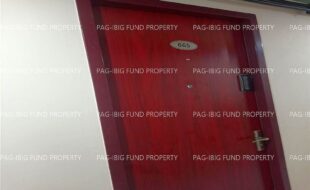 fil1520231003081