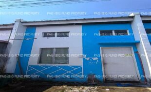 fil1520231011281