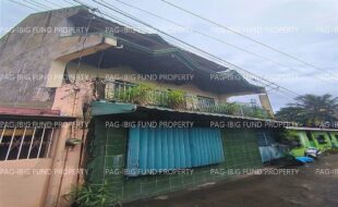 fil1520231024333