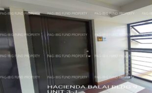 fil1520231107221