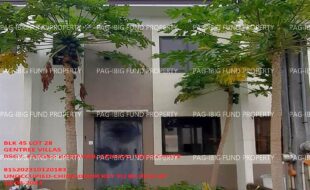 fil1520231108532