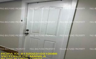 fil1520231113768
