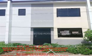 fil1520231201086