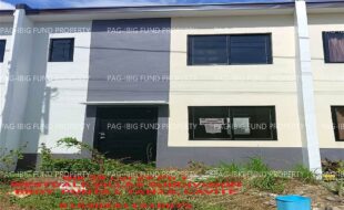 fil1520231201104