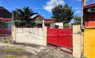 fil1520231208073