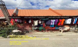 fil1520231215028