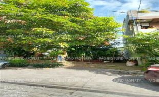 fil1520240119292