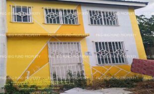 fil1520240126167