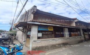 fil1520240129293