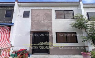 fil1520240226018