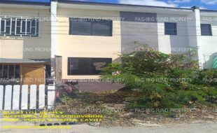 fil1520240304248