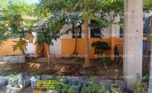 fil1520240309037