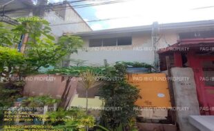 fil1520240319226
