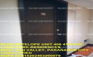 fil1520240415385