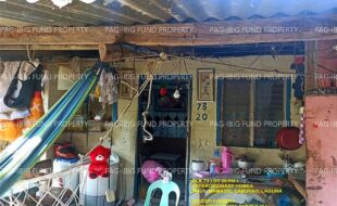 fil1520240502117