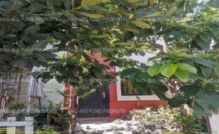 fil1520240517306