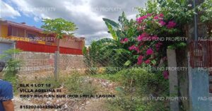Pag-IBIG ROPA # 815202404250026 - Lot 18 Blk. 4 VILLA ADELINA III BULILAN SUR (POB.), PILA, LAGUNA, 4010 - 2nd Public Auction on Jul. 6, 2026 - Jul. 10, 2026