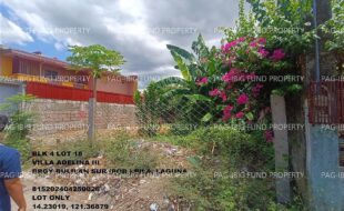 fil1520240523255