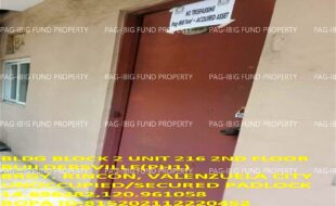 fil1520240530108