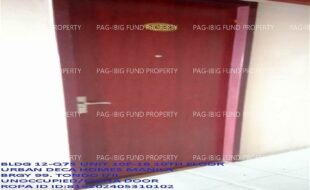 fil1520240605298