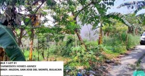 Pag-IBIG ROPA # 815202405270038 - Lot 81 Blk. 1 SARMIENTO HOMES-ANNEX MUZON PROPER, CITY OF SAN JOSE DEL MONTE, BULACAN, 3023 - Negotiated Sale on Jun. 22, 2026 - Jun. 26, 2026